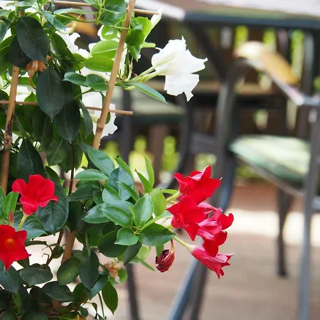 Locanda Breitenfelderhof Zur Riegersburg