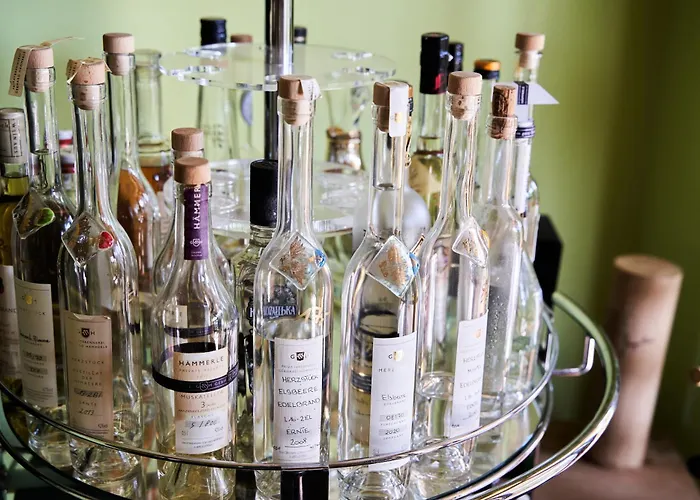 Breitenfelderhof Zur Riegersburg Inn 3*