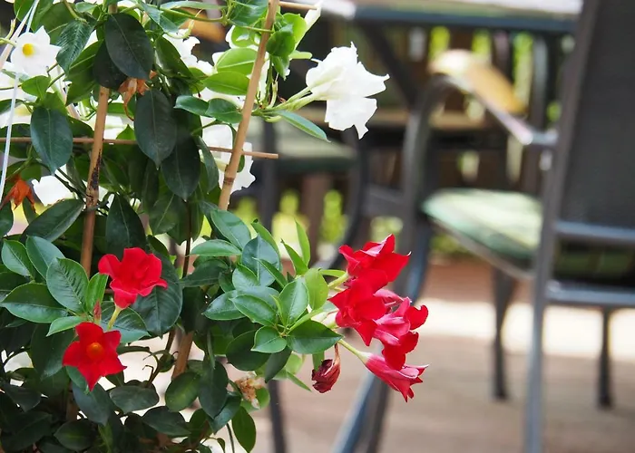 宾馆 Breitenfelderhof Zur Riegersburg